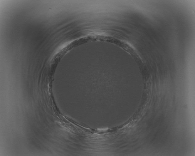 X0000061140919200511241759