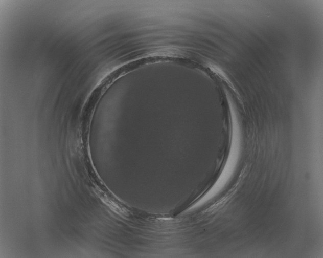 X0000061140923200511241759