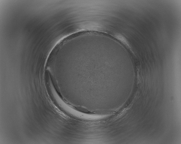 X0000061140924200511241759