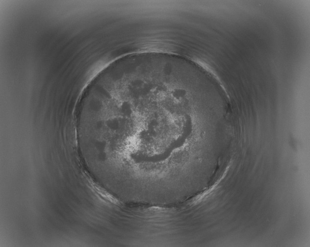 X0000061140925200511241800