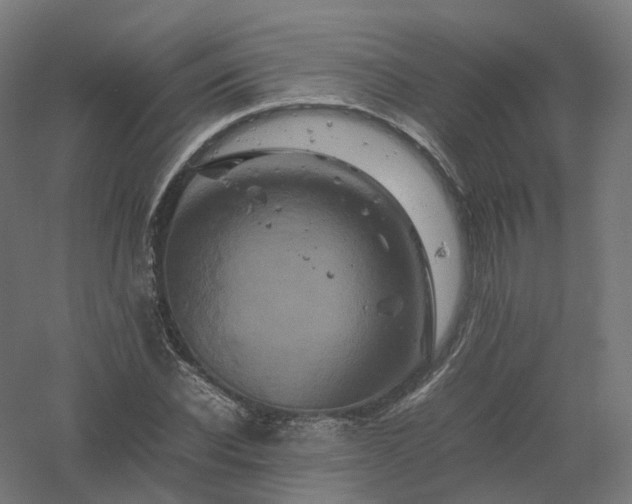 X0000061140926200511241800