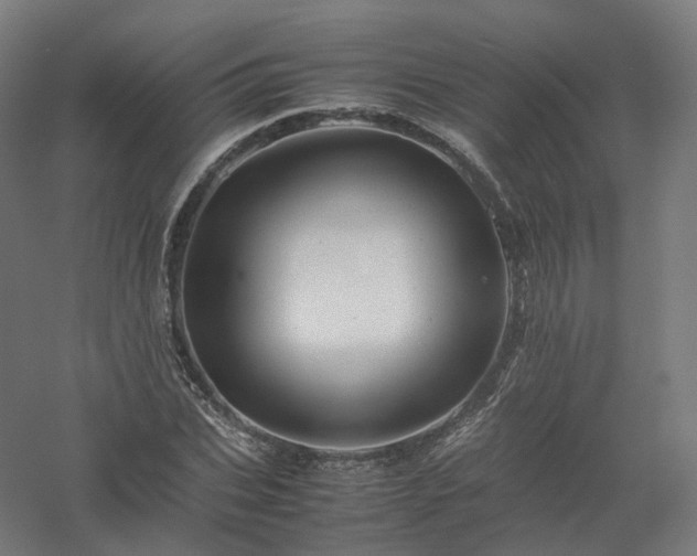 X0000061140927200511241800