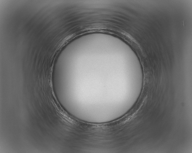 X0000061140929200511241800