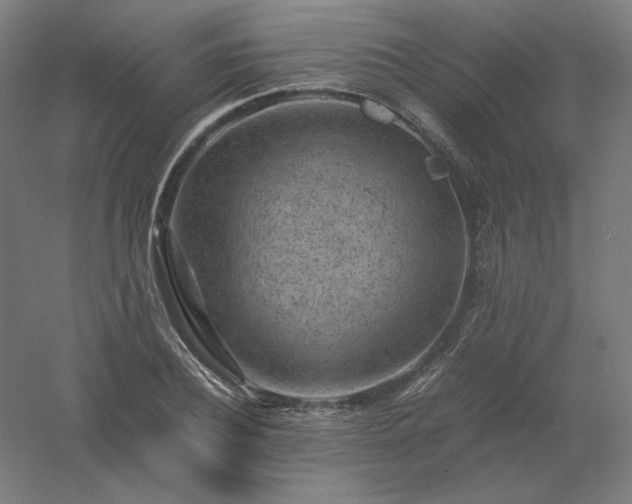 X0000061140932200511241800