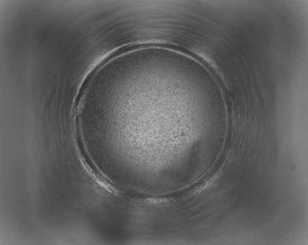 X0000061140933200511241800