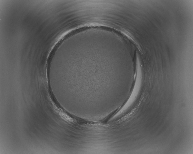 X0000061140934200511241800