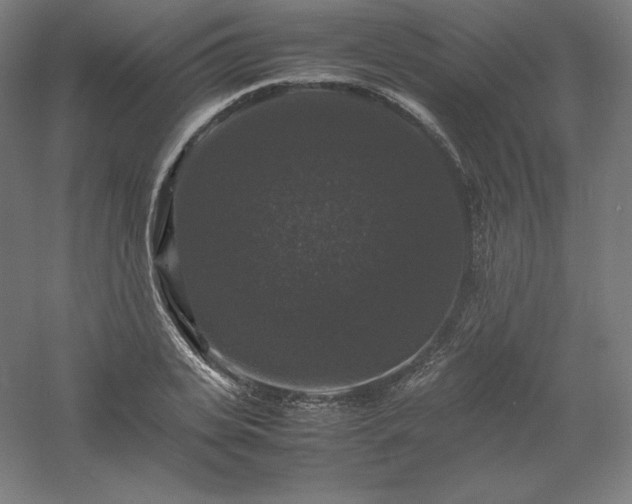 X0000061140935200511241800