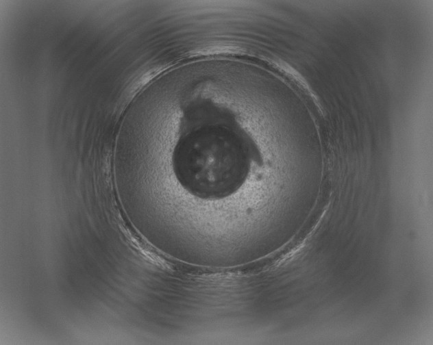 X0000061140937200511241800