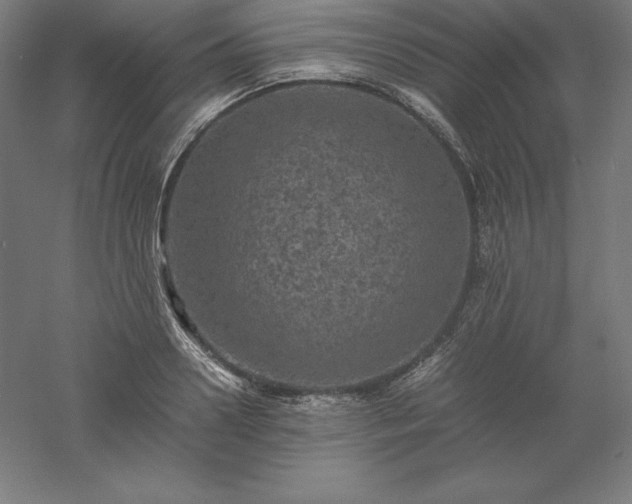 X0000061140938200511241800