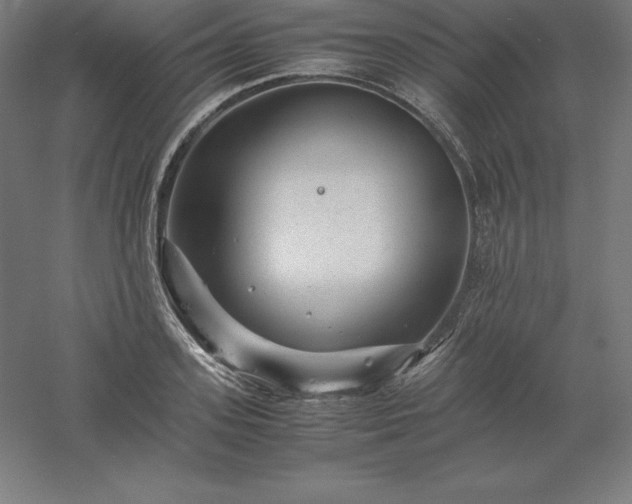 X0000061140939200511241800