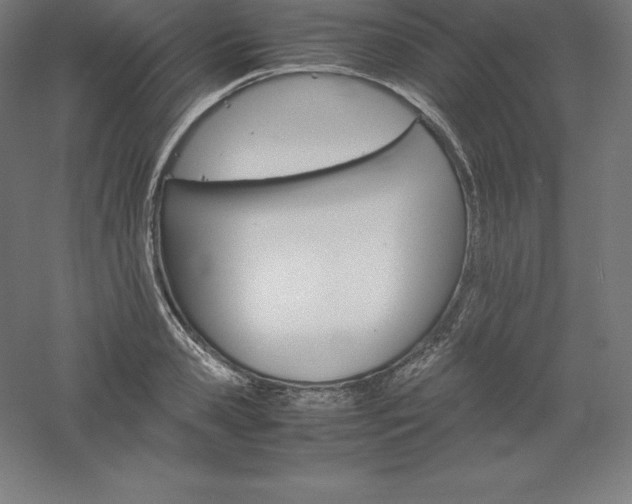 X0000061140941200511241800