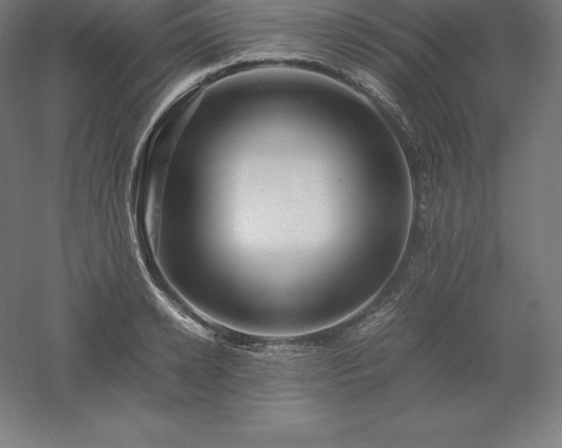 X0000061140942200511241800