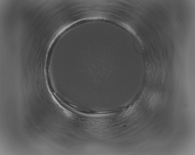 X0000061140943200511241800