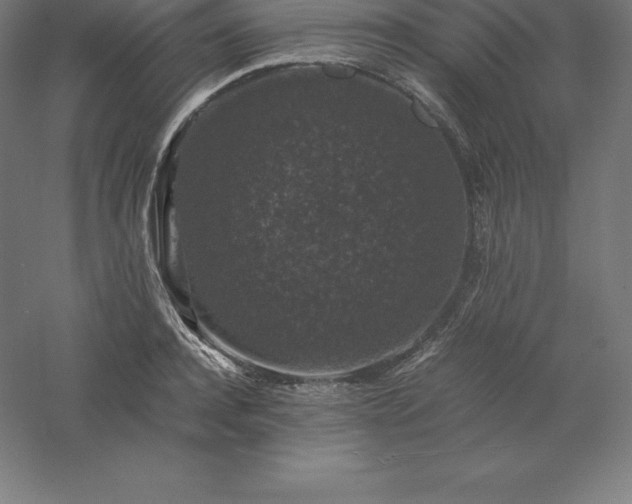 X0000061140944200511241800