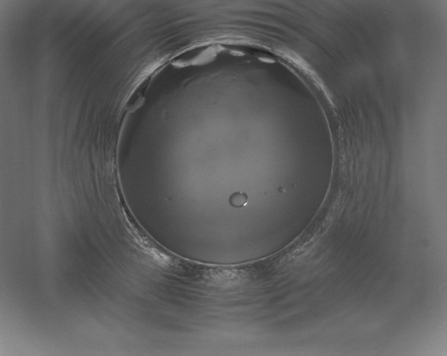 X0000061140945200511241800