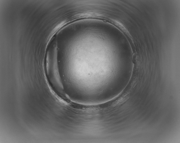 X0000061140946200511241800