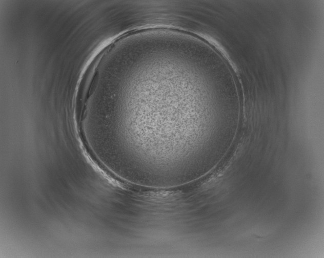 X0000061140949200511241800