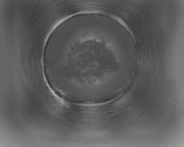 X0000061140951200511241800