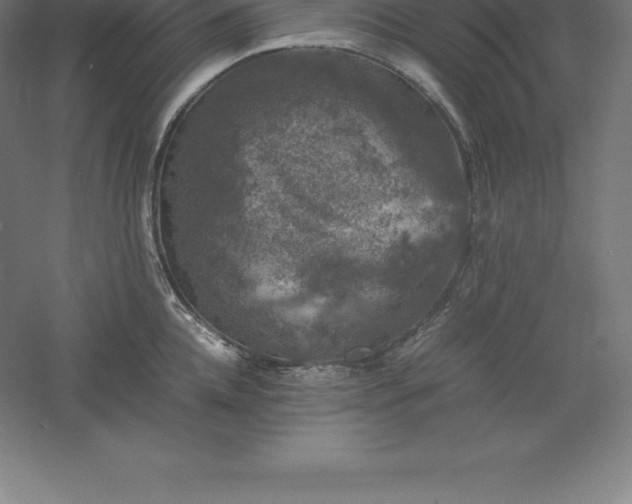 X0000061140952200511241800