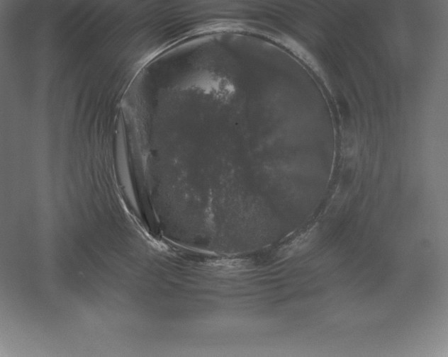 X0000061140953200511241800