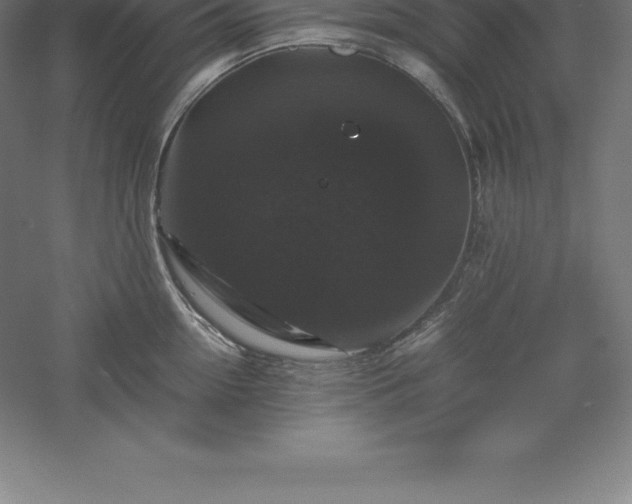 X0000061140954200511241800