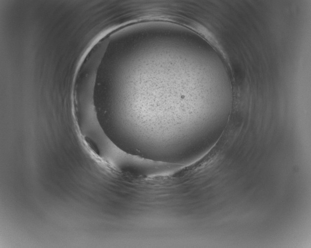 X0000061140955200511241800