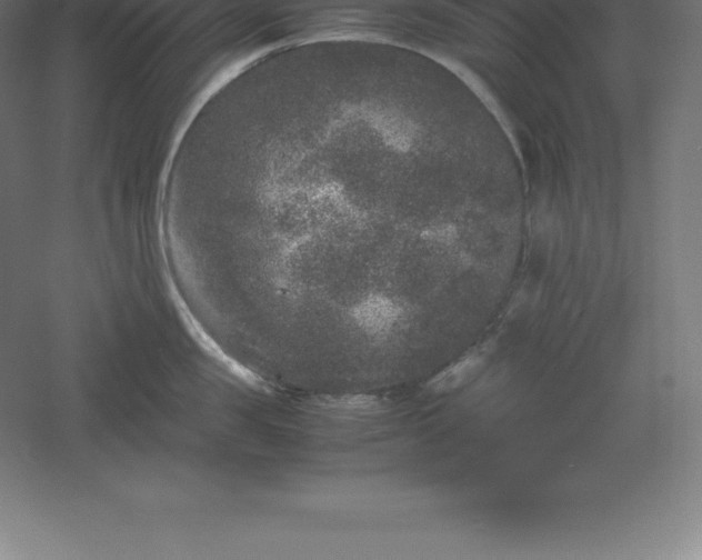 X0000061140957200511241800