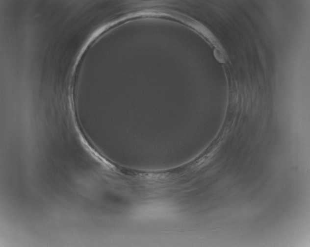 X0000061140958200511241800