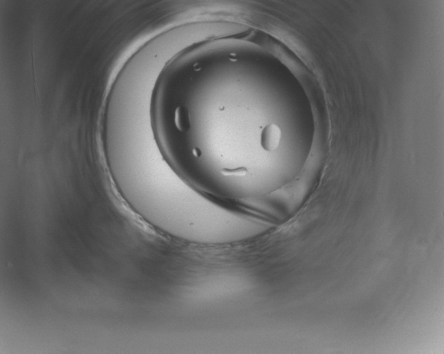 X0000061140960200511241800