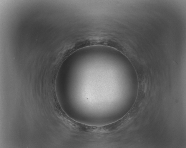 X0000061140961200511241759