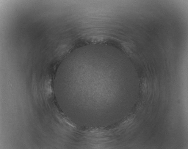 X0000061140962200511241759