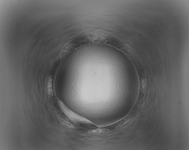 X0000061140963200511241759