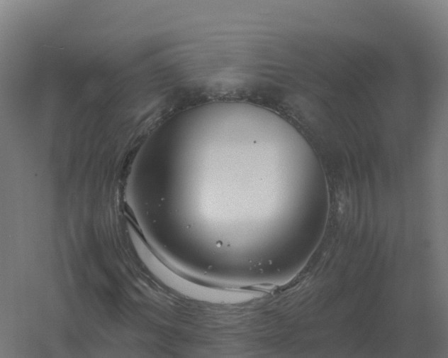 X0000061140964200511241759