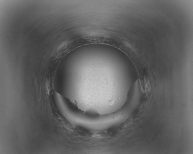 X0000061140965200511241759