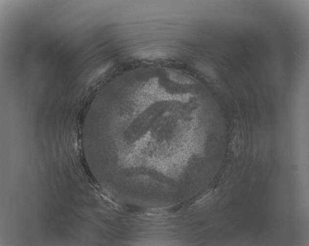 X0000061140966200511241759