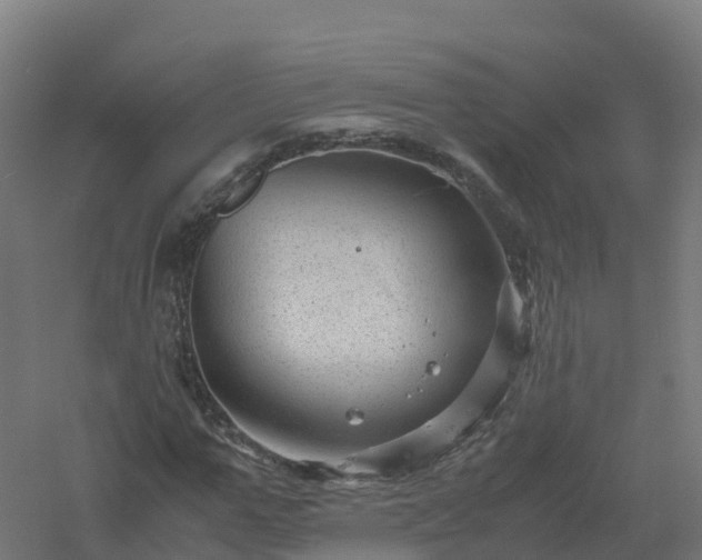 X0000061140967200511241759