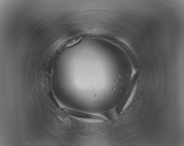 X0000061140968200511241759