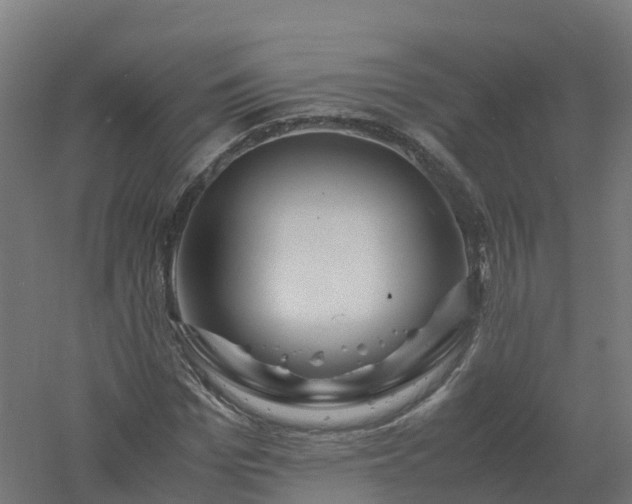 X0000061140969200511241759