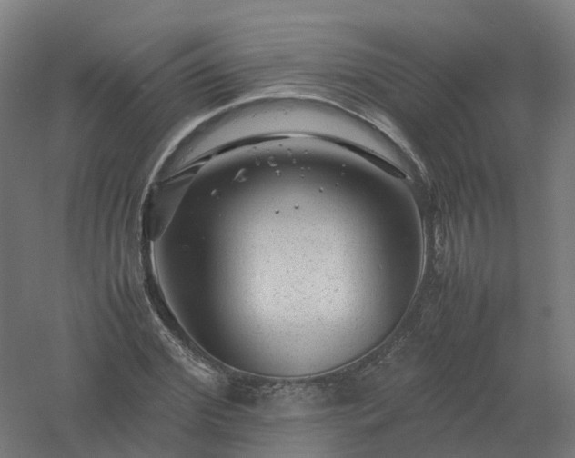 X0000061140972200511241759