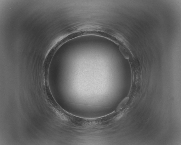 X0000061140973200511241759