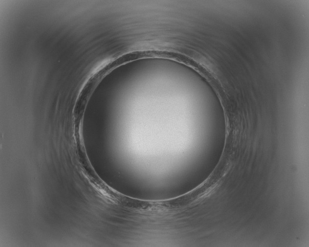 X0000061140974200511241759