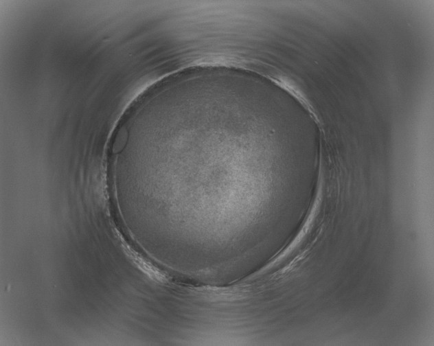 X0000061140976200511241759