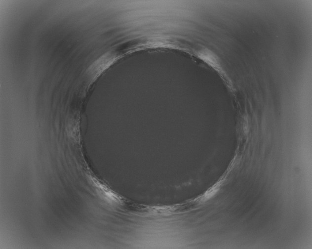 X0000061140977200511241759