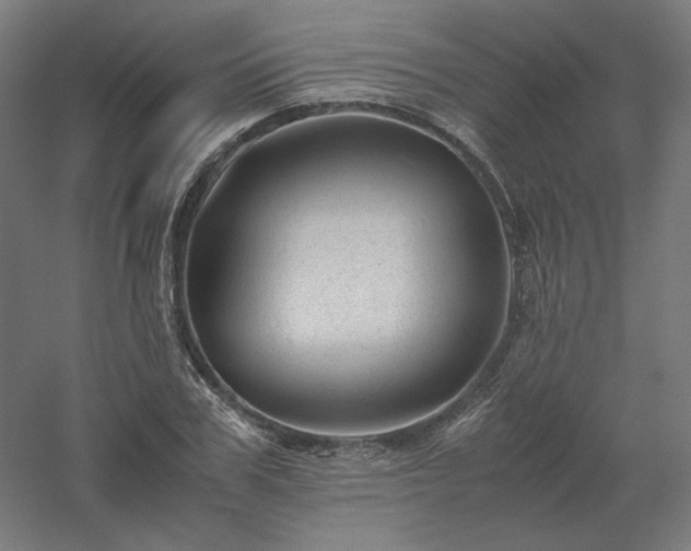 X0000061140979200511241759