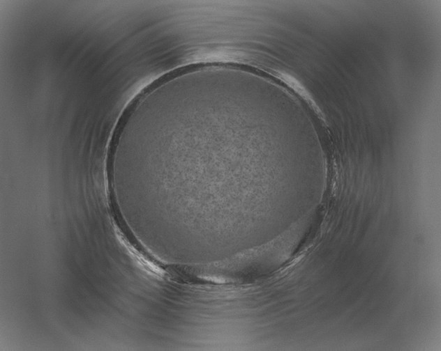 X0000061140980200511241759