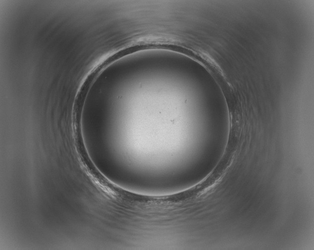 X0000061140981200511241759