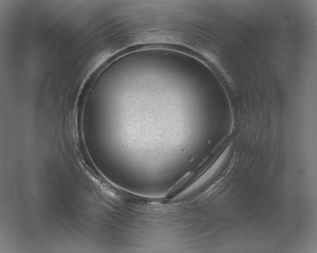 X0000061140982200511241759