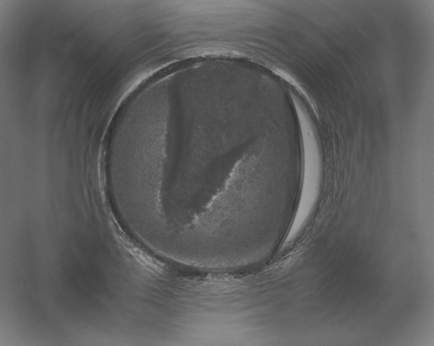 X0000061140983200511241759