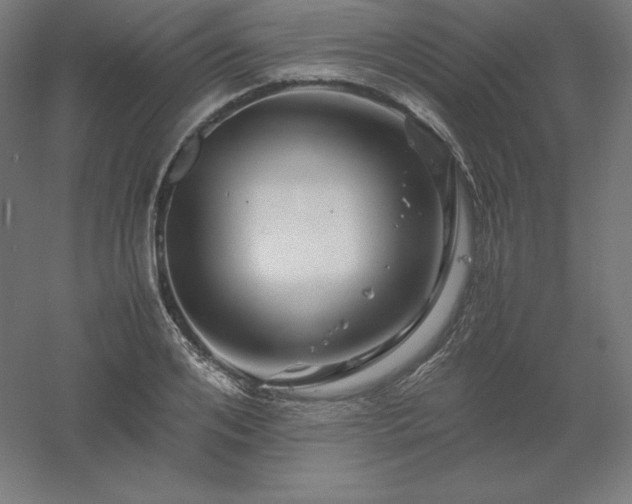 X0000061140984200511241759