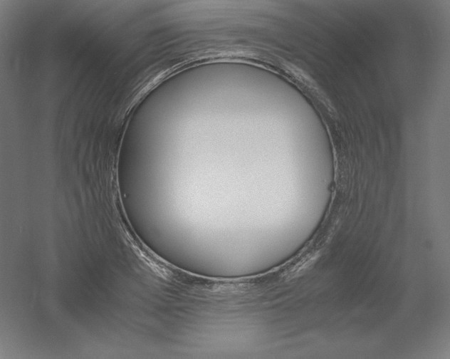 X0000061140985200511241759